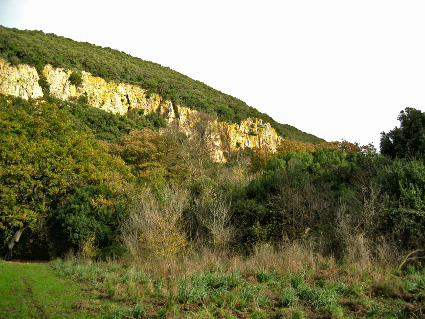 Incontro di Natura Mediterraneo a Roma (FOTO e VIDEO)